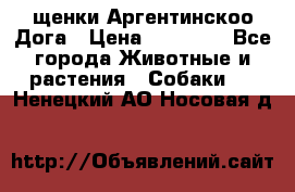 щенки Аргентинскоо Дога › Цена ­ 25 000 - Все города Животные и растения » Собаки   . Ненецкий АО,Носовая д.